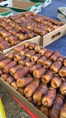 برني العيص جلكسي درجة اولى k2