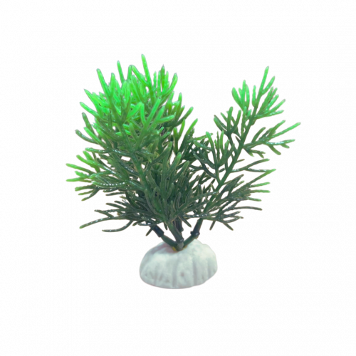 نبتة بلاستيكية لزينة أحواض السمك (10سم)