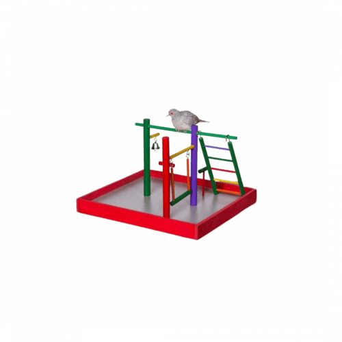 بريوي بت | باركيت بارك