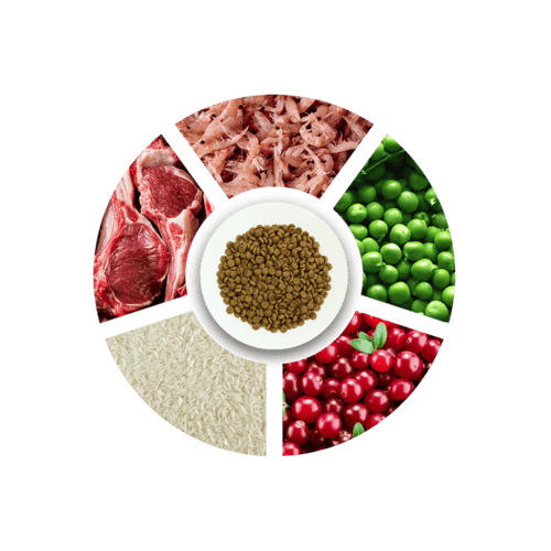 برو شويس | برو 36 طعام القطط البالغة بلحم الضأن وا...