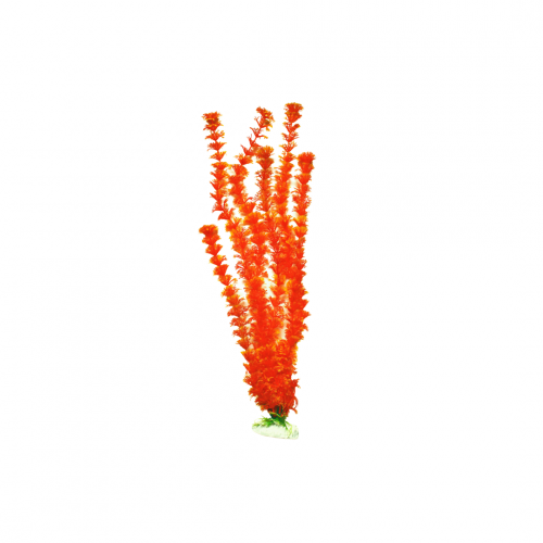 نبتة بلاستيكية لزينة أحواض السمك (46سم)