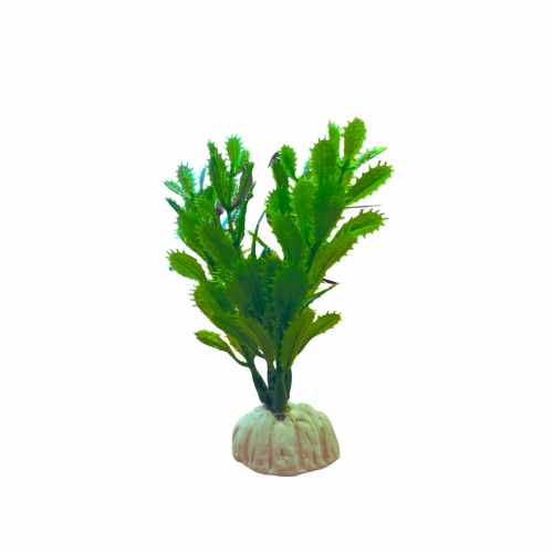 نبتة بلاستيكية لزينة أحواض السمك (10سم)