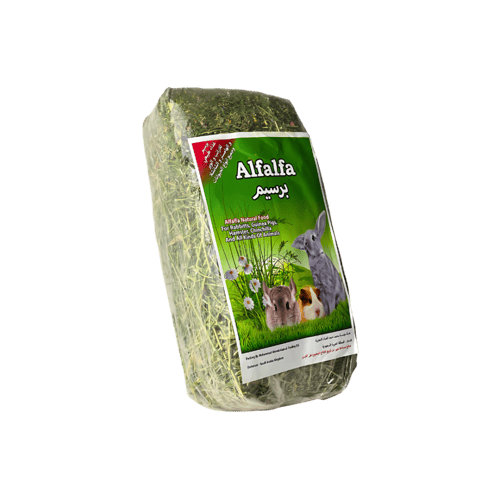 برسيم طبيعي للحيوانات الصغيرة