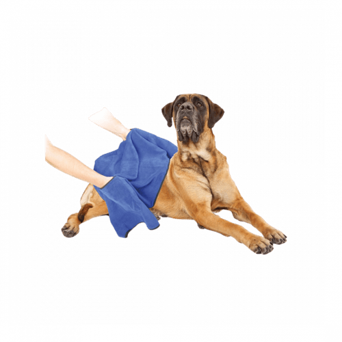 دوفو | منشفة الاستحمام للكلاب