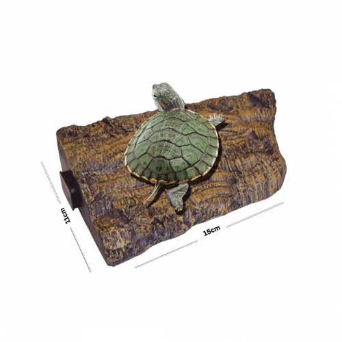 دوفين | جزيرة السلحفاة العائمة