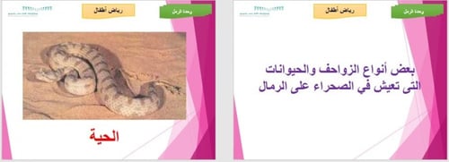 تحضير وحدة الرمل رياض الأطفال