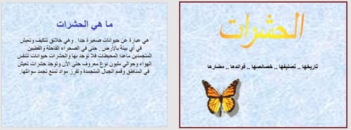 تحضير وحدة الحشرات رياض الأطفال