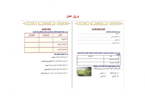 تحضير احياء 3 مقررات