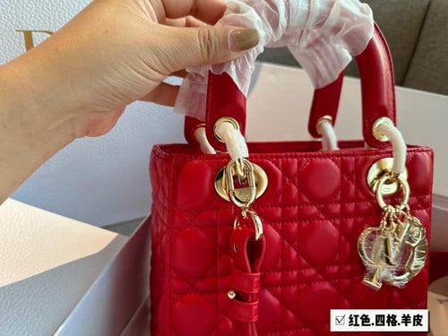 شنطه ديور ماستر حجم 22