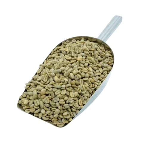 First class Ethiopian Harari coffee