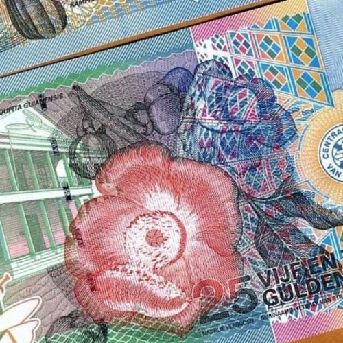 سورينام فئة 25 جولدن أنسر