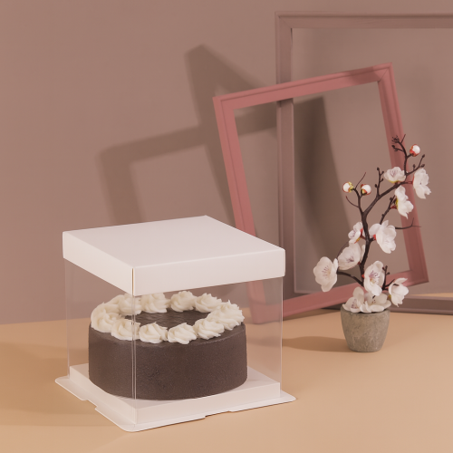 علب شفافة بقاعدة ورقية مستطيلة لون ابيض