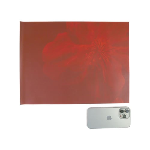 مجموعة (12) لباد سفرة مائدة بتصميم مجموعة زهور بال...