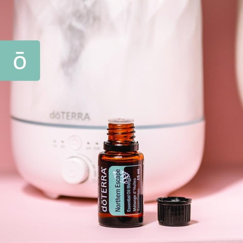 زيوت قمة الشمال "Northern Escape" | مزيج عطري منعش...