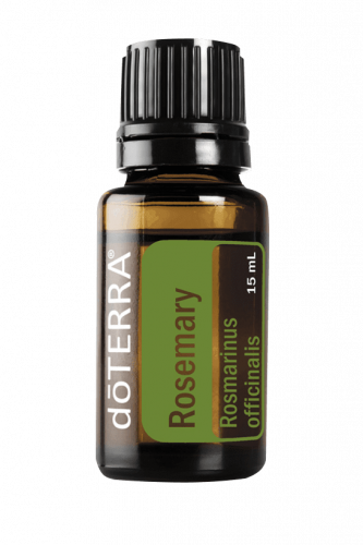 زيت إكليل الجبل “Rosemary” (صافي 15مل، مُركز، عضوي...