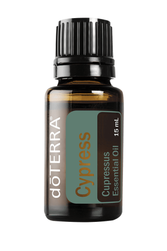 زيت شجرة السرو “Cypress” (صافي 15مل، مُركز، عضوي،...