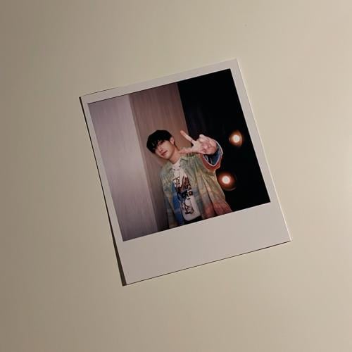 بولارويد تشان