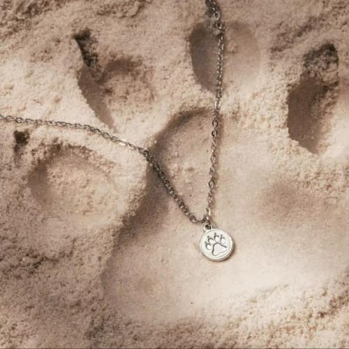 قلادة اعضاء فرقة سفنتين