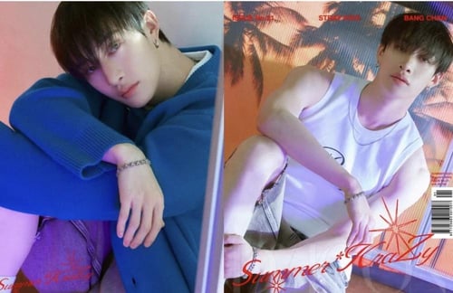 Magazine DICON VOLUME N°21 Type.B STRAY KIDS