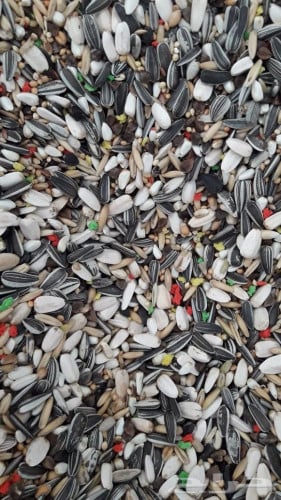 اكل كروان+ روز ( كيس شفاف )