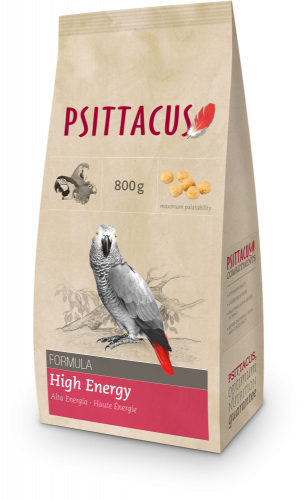 سيتاكوس غذا يومي لكاسكو