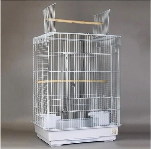 قفص ببغاء ابيض