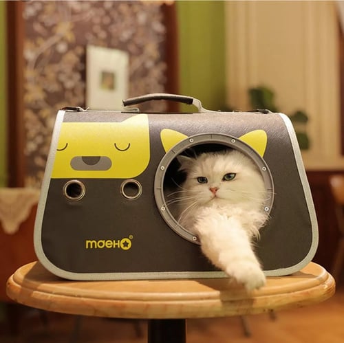 شنطه قطط لتنقل مع نافذه