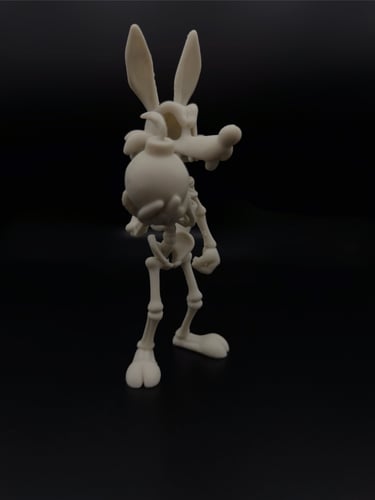 Skeleton Wile E. Coyote