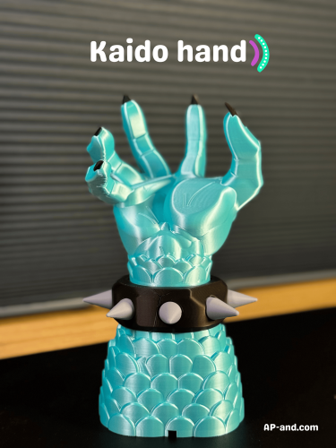 Kaido hand