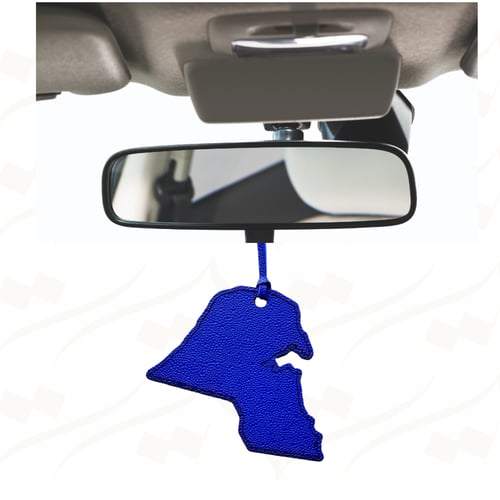 خريطة دول الخليج من الجلد