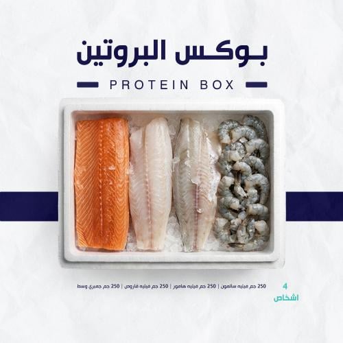 بوكس البروتين