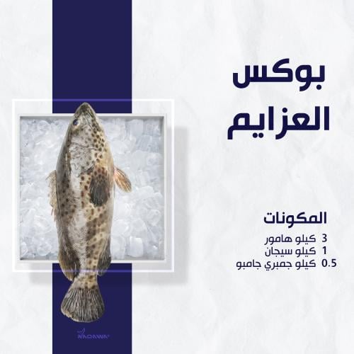 بوكس العزايم