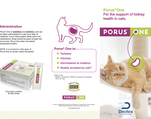 بورس ون كرتون