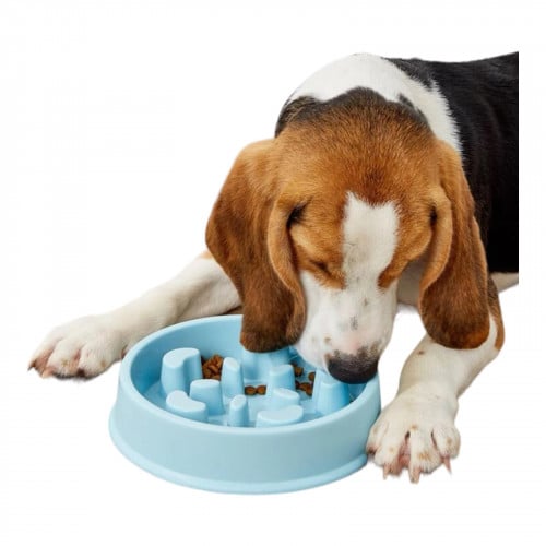 وعاء اكل للكلاب و القطط