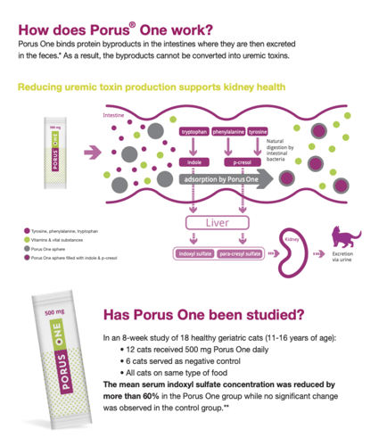 بورس ون كرتون