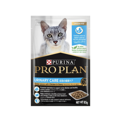 برو بلان طعام رطب للقطط البالغة لصحة المسالك البول...