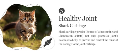 ناتشورال كيتي طعام جاف خالي من الحبوب مع طعام مجفف...