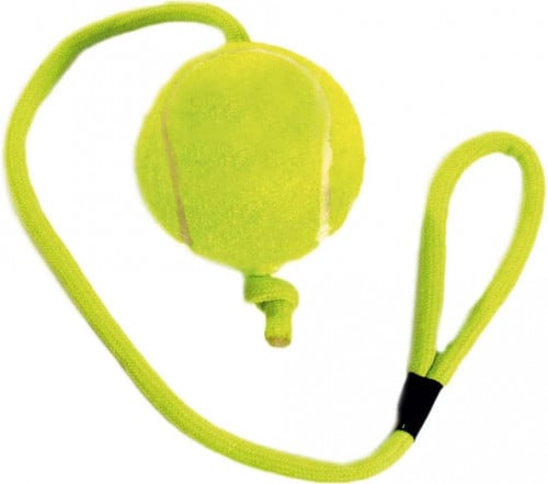 فلامنقو للعبة كرة التنس مع حبل