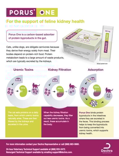 بورس ون كرتون
