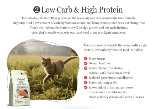 ناتشورال كيتي طعام جاف خالي من الحبوب مع طعام مجفف...