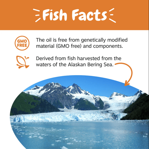 زيستي باوز زيت السلمون البري للكلاب والقطط 473 مل