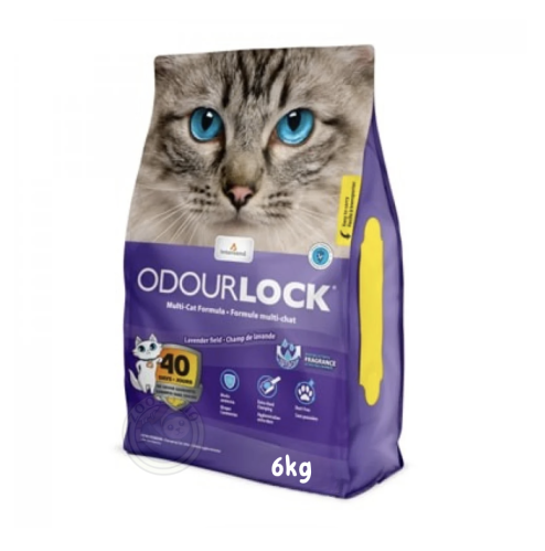 انترساند رمل قطط عالي التكتل برائحة الافندر 6 كيلو