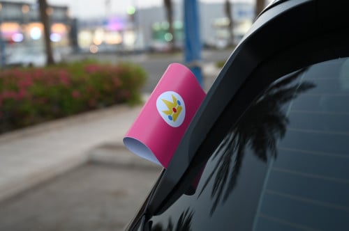 شعار Princess Peach