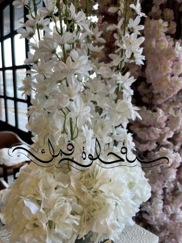 تغريسة اكلريك