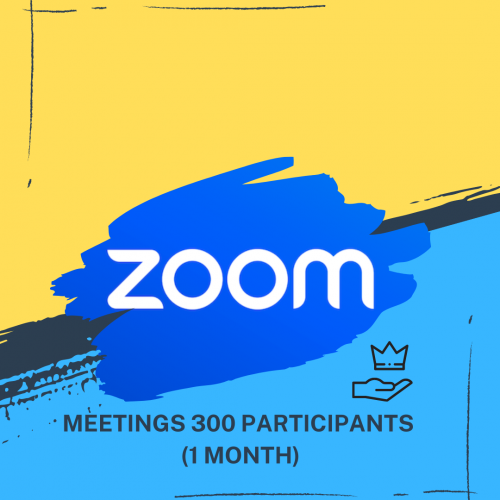 اشتراك Zoom لمده شهر ( 300 شخص)