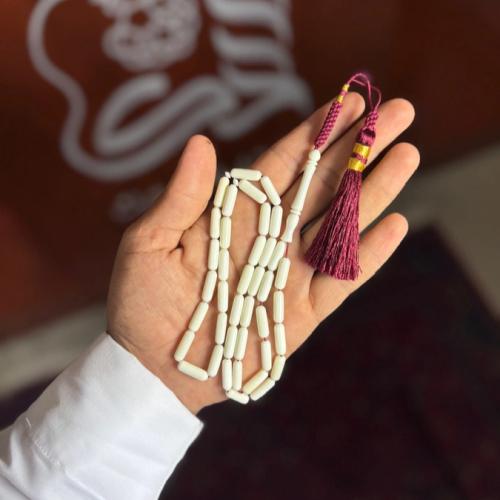 عظم جمل-كركوشة