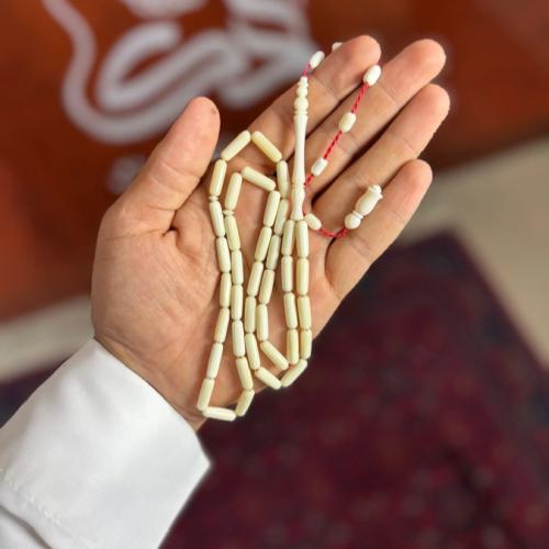 عظم جمل-تمليكة