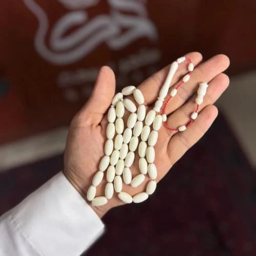 عظم جمل-تمليكة15في8