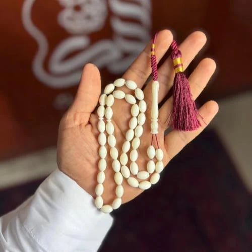 عظم جمل-كركوشة
