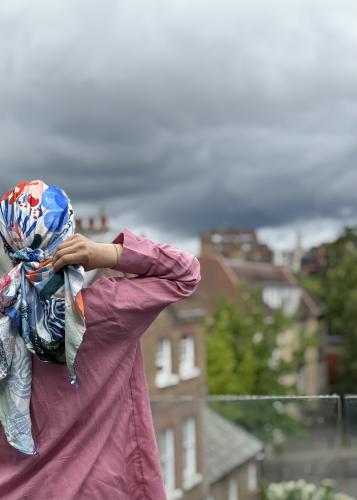 ميني تاي مخطط الوان